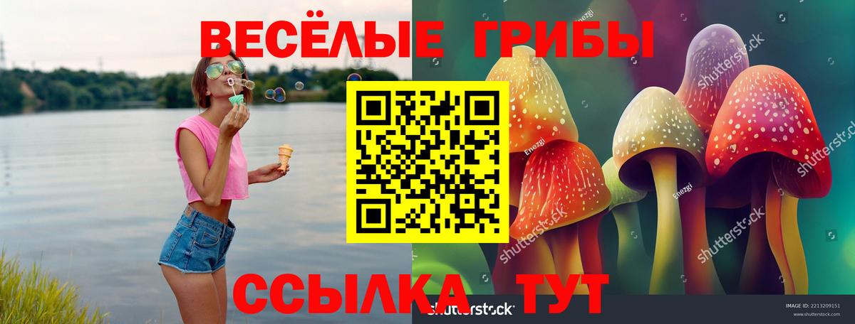 Волгоград  Галлюциногенные грибы прущие грибы  Псилоцибиновые грибы ЛСД  продажа наркотиков  Вход с VPN 